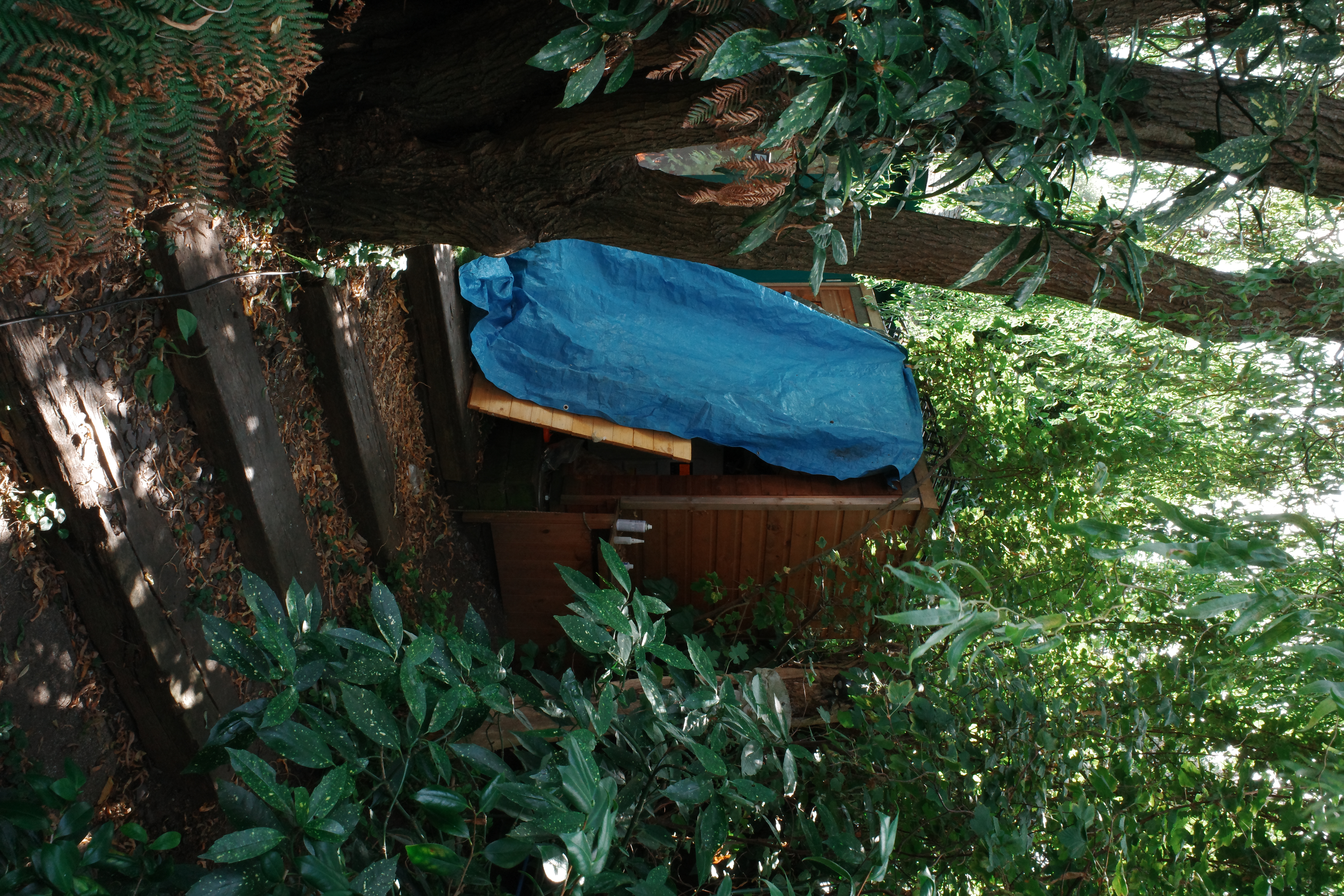 Laube portrait cover