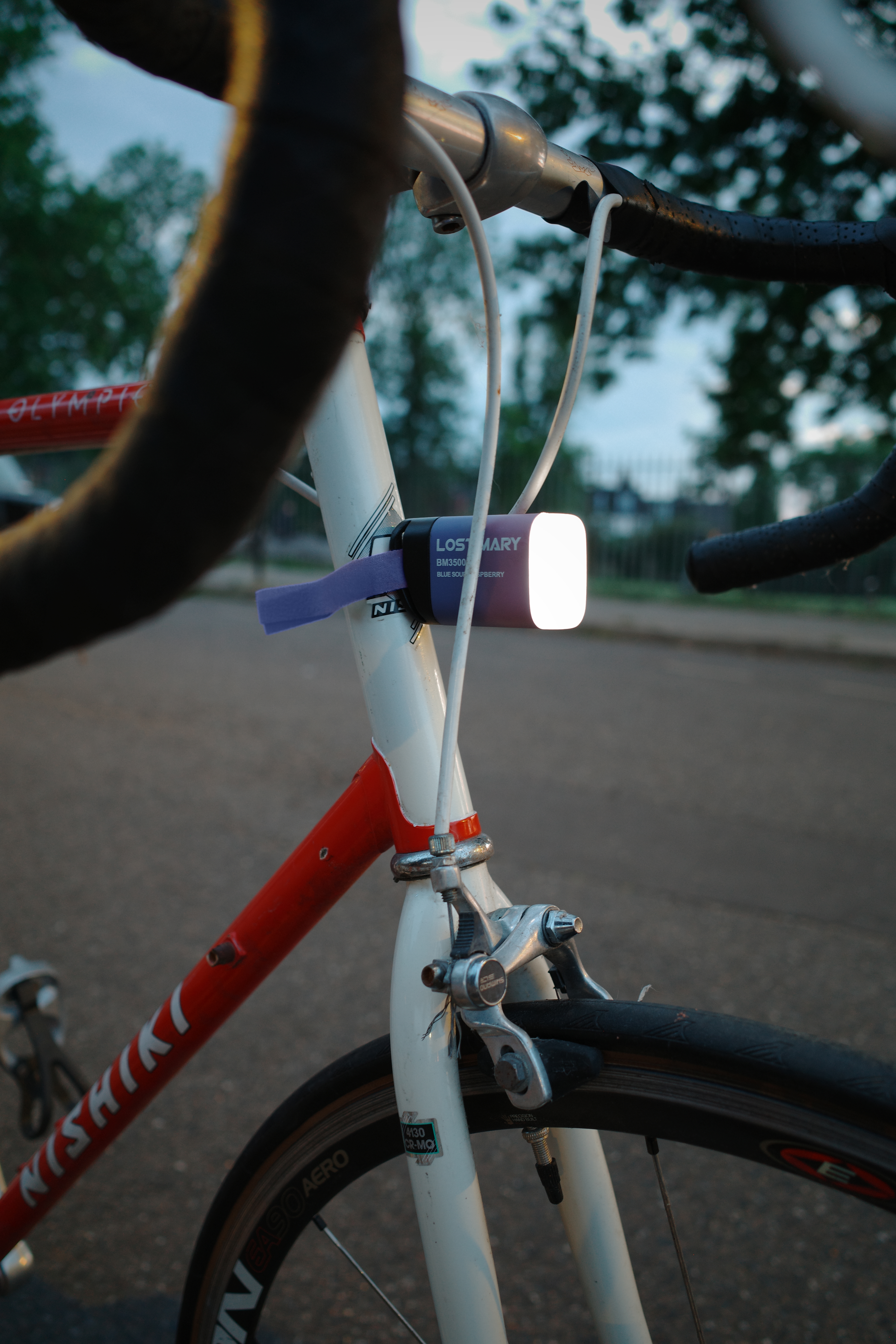 Orion portrait cover