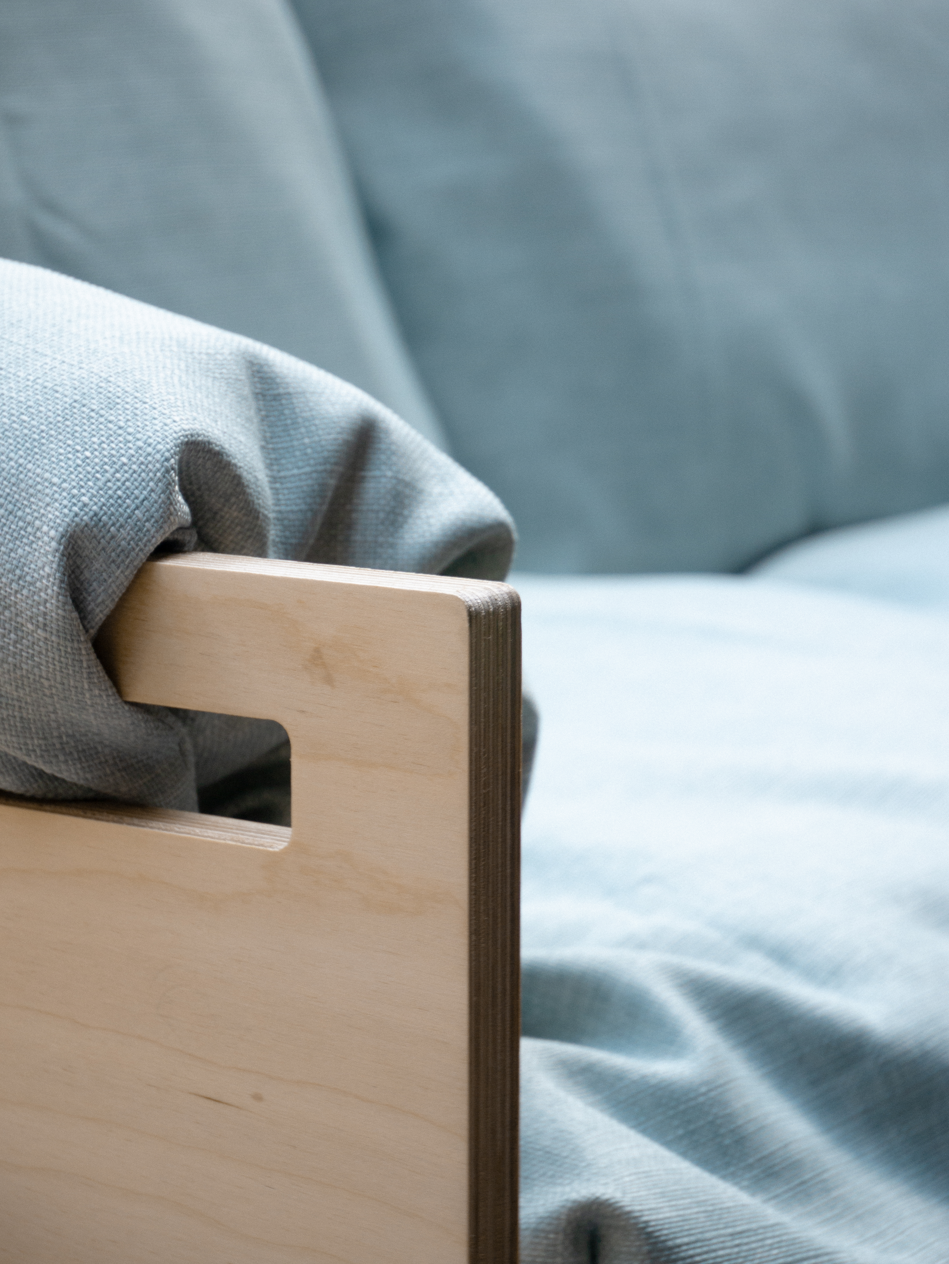 Strung portrait cover